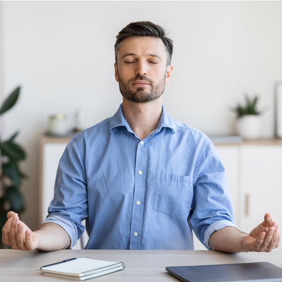 Virtual Mindfulness Meditation Webinar